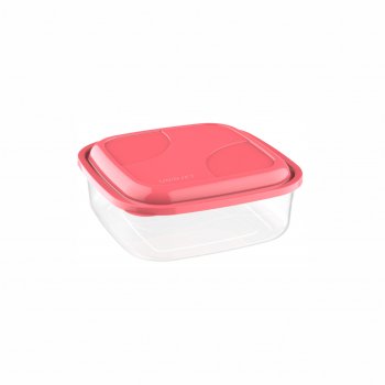 CONTAINER  QUADRADO P 220ML PP -CO