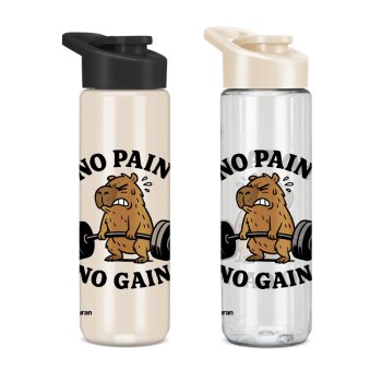 SQUEEZE PET CAPIVARA (SH) 700ML (12UN)