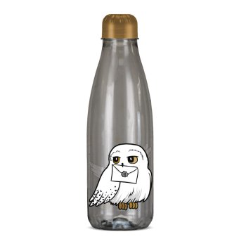 SQUEEZE PET PARIS HARRY POTTER FUMÊ 600ML (12UN)